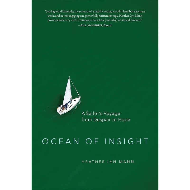 کتاب Ocean of Insight اثر Heather Lyn Mann انتشارات Parallax Press