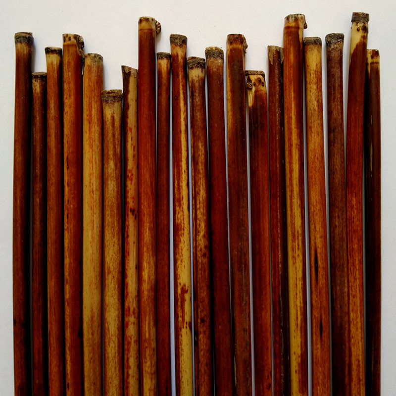 قلم خوشنویسی مدل نی دزفول به همراه لیقه