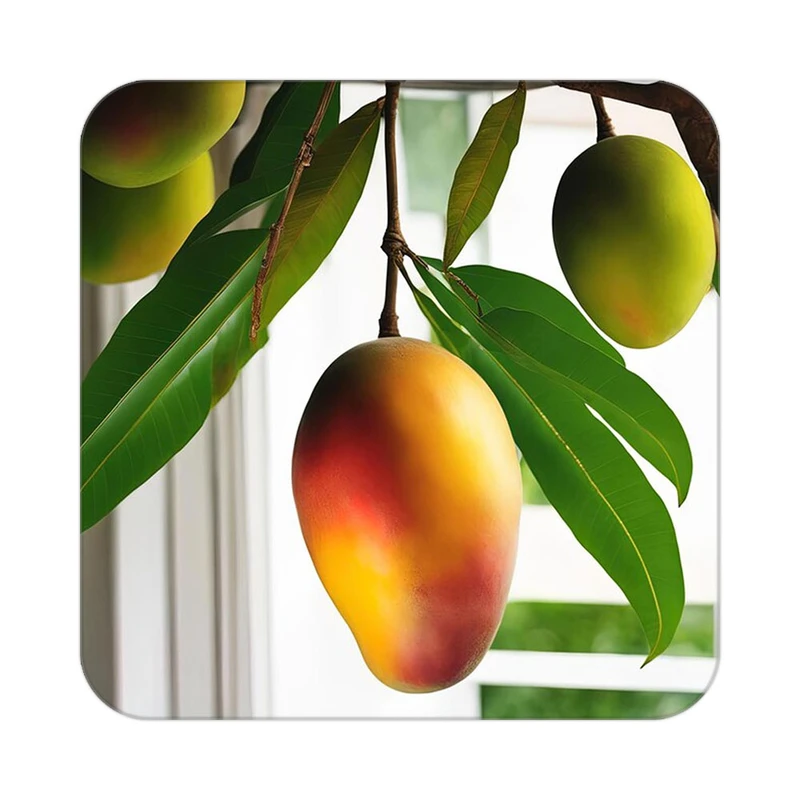 زیر لیوانی کاکتی طرح میوه مدل mp21583