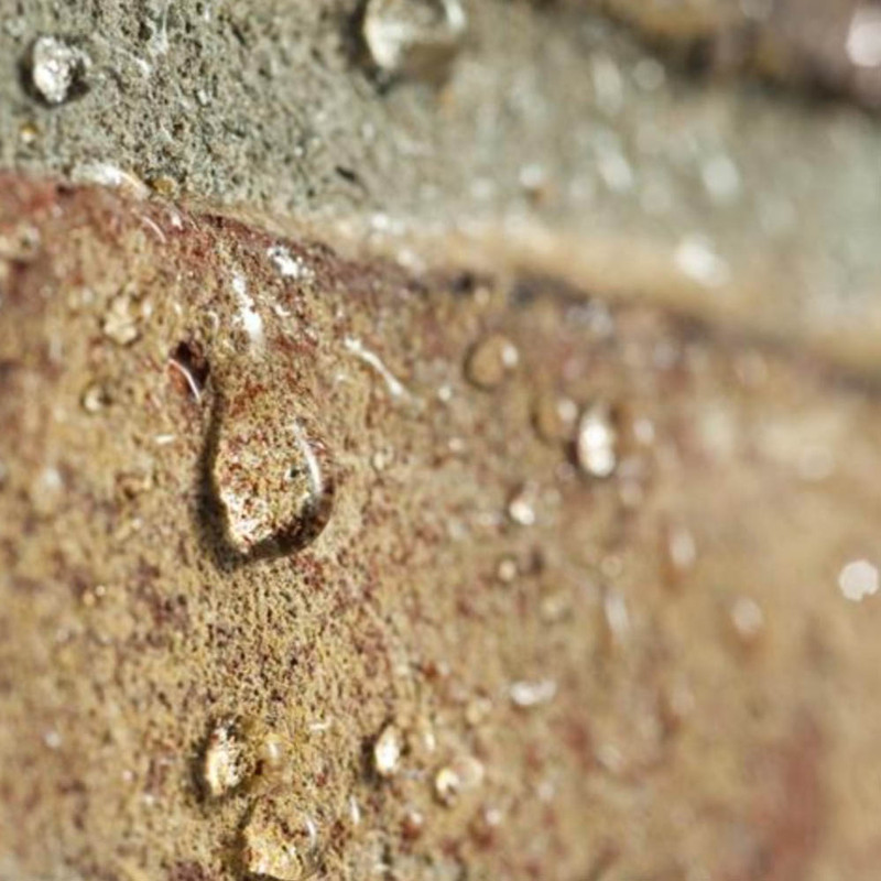 محافظ نما نانوسیل مدل 1 حجم 5 لیتر محافظ نما نانوسیل مدل 1 حجم 5 لیتر