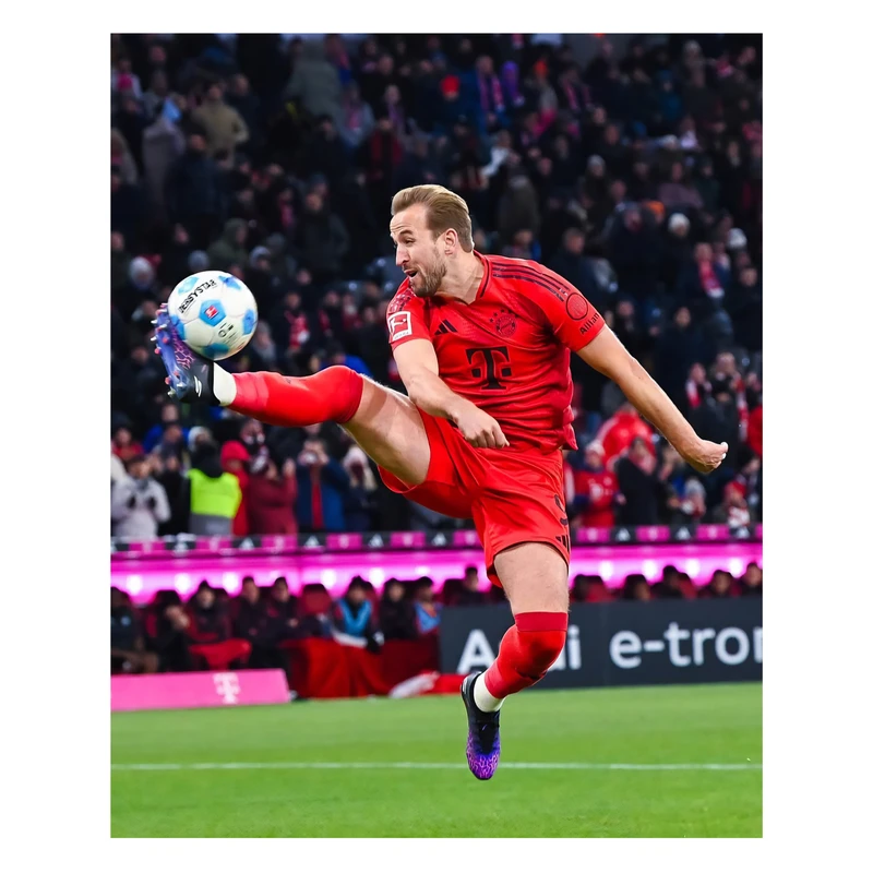 تابلو شاسی مدل هری کین کد 4002