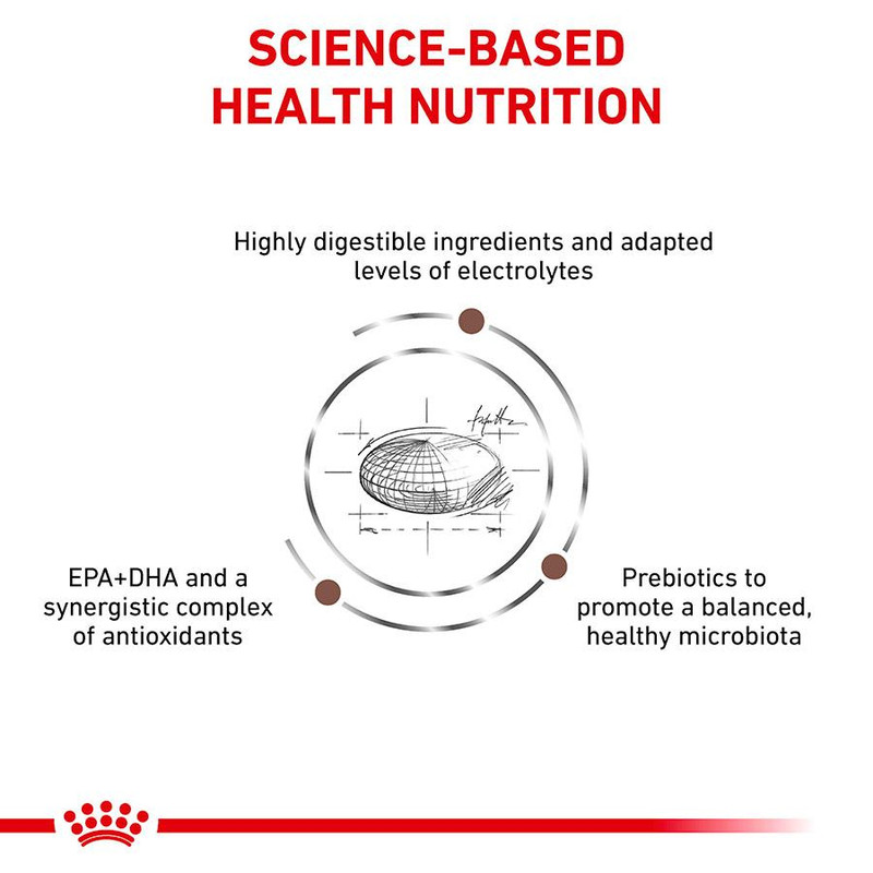 غذای خشک سگ رویال کنین مدل گاسترواینتستینال وزن 2 کیلوگرم