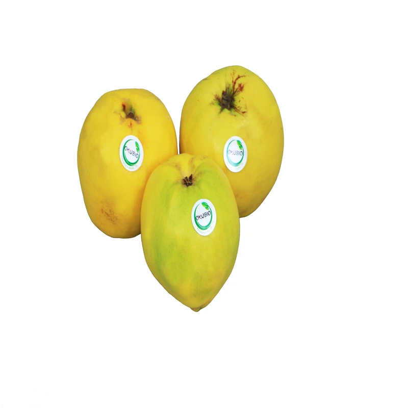 به درجه یک اکوبیو 500 گرم