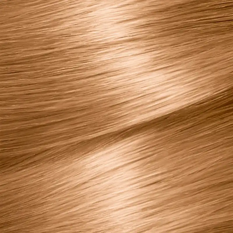 کیت رنگ مو گارنیه شماره 7.3 حجم 40 میلی لیتر رنگ بلوند فندقی