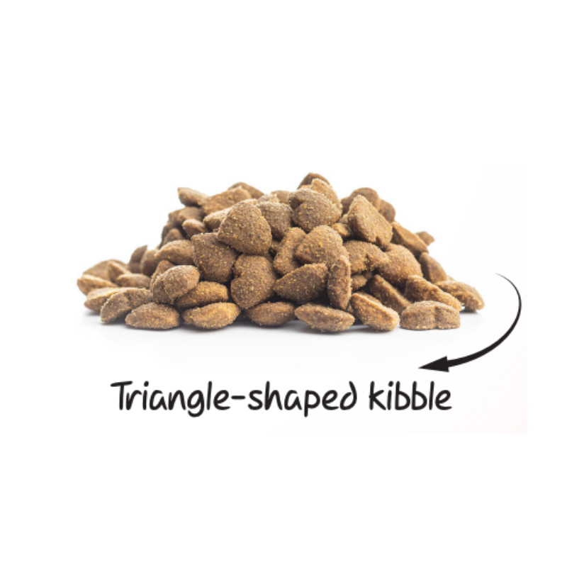 غذای خشک بچه گربه سولواس مدل کیتن با طعم ماهی وزن 1 کیلوگرم