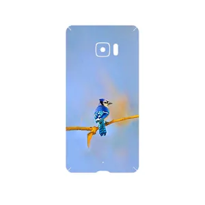 MAHOOT Cyanocitta cristata Cover Sticker for HTC U Ultra