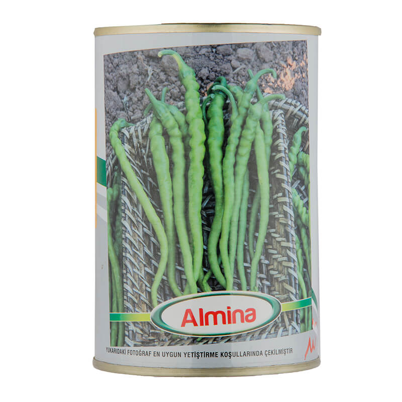 بذر فلفل سبز تند بیوتک کد GK-1850