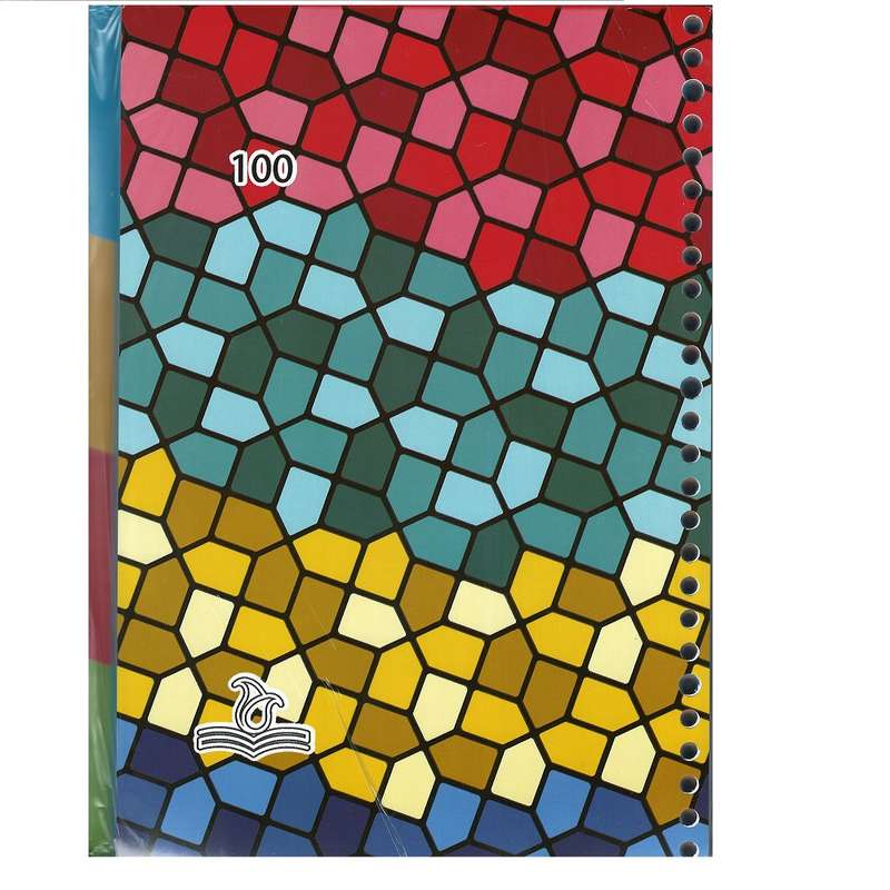 کاغذ کلاسور سرو مدل 001 بسته 100 عددی