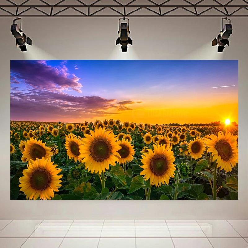 پوستر طرح گل های آفتابگردان و غروب دل انگیز کد AR13490