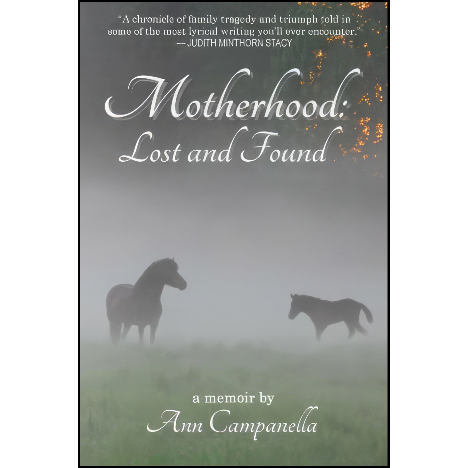 کتاب Motherhood اثر Ann Campanella انتشارات تازه ها