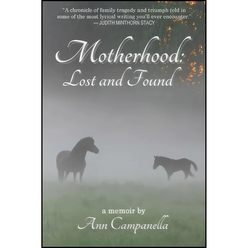 کتاب Motherhood اثر Ann Campanella انتشارات تازه ها