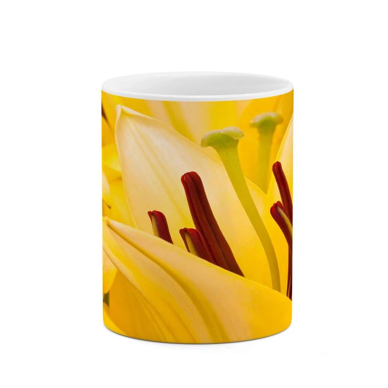 ماگ کاکتی مدل گل کد mgh12112