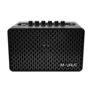 آمپلی فایر ام وی و مدل  SP100 BK