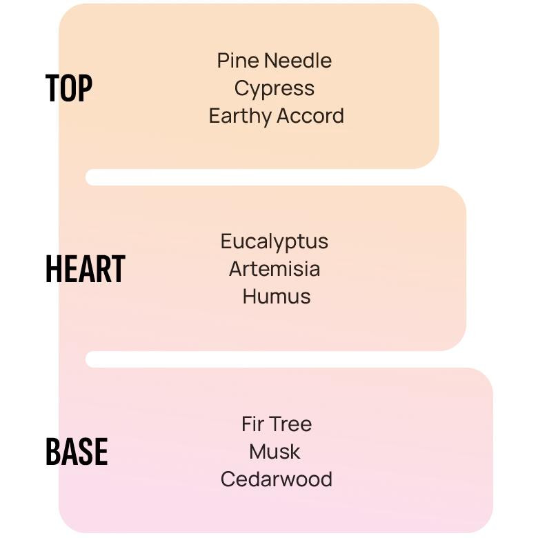 خوشبو کننده خودرو آرئون مدل Ken Nordic Forest