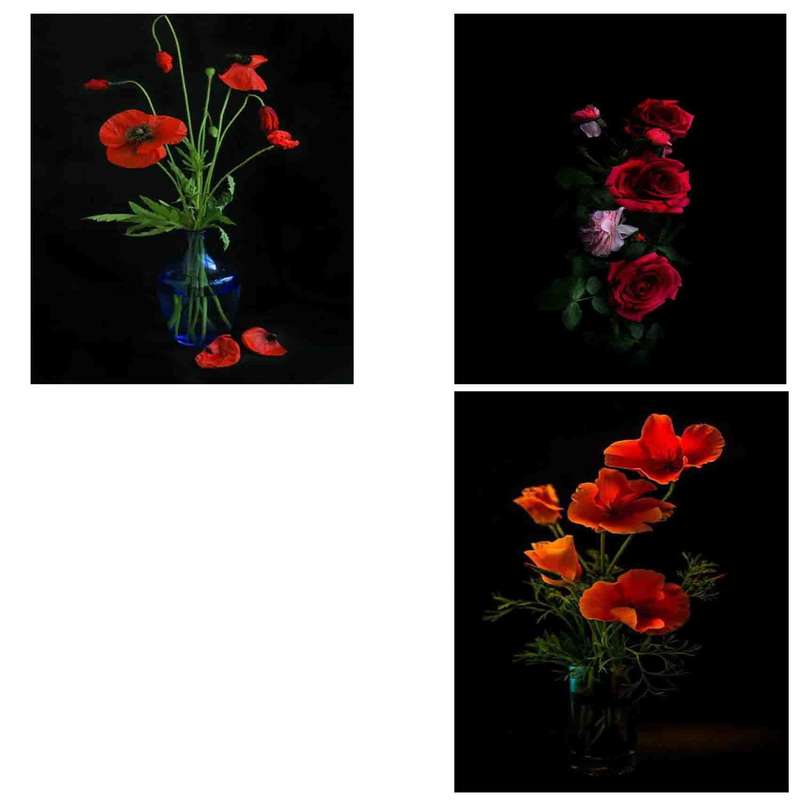 کارت پستال رادکس طرح گل  مدل s1518 بسته سه عددی
