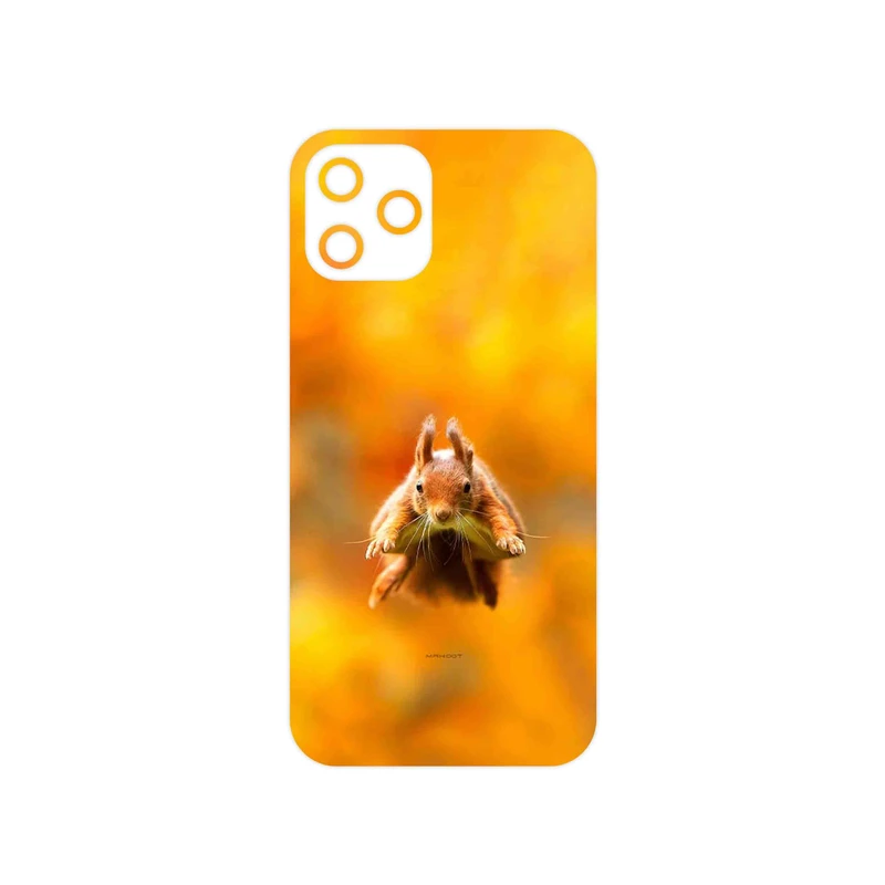 برچسب پوششی ماهوت مدل Squirrel مناسب برای گوشی موبایل اپل iPhone 12 Pro
