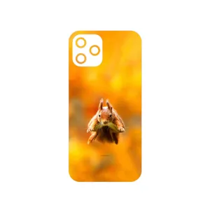 MAHOOT Squirrel Cover Sticker for Apple iPhone 12 Pro