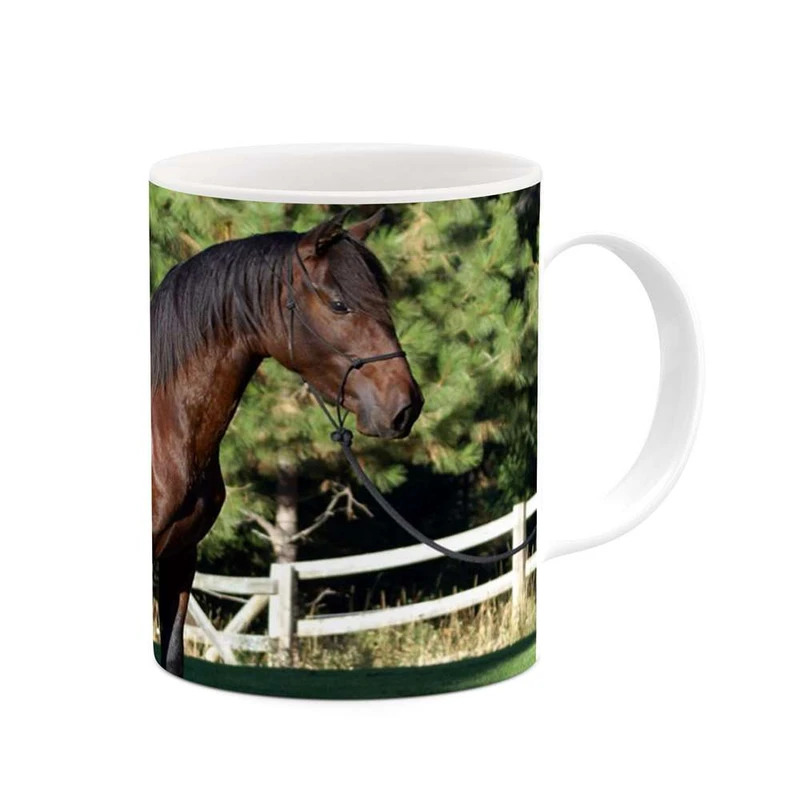 ماگ کاکتی مدل اسب کد mgh24349