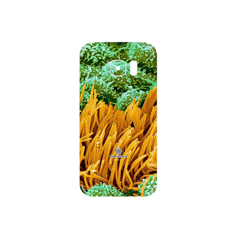 برچسب پوششی ماهوت مدل Atom Universe 6 مناسب برای گوشی موبایل سامسونگ Galaxy S7
