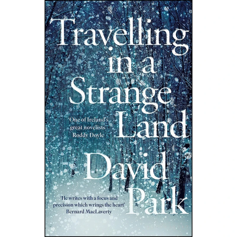 کتاب Travelling in a Strange Land اثر David Park انتشارات Bloomsbury Publishing