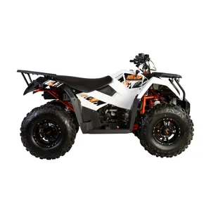 موتور سیکلت چهار چرخ راپیدو مدل AU300 سال 1403