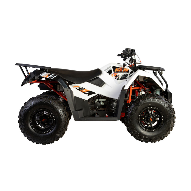 موتور سیکلت چهار چرخ راپیدو مدل AU300 سال 1403
