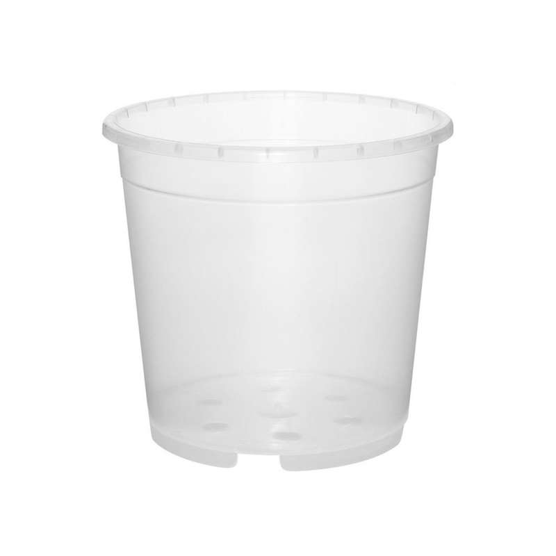 گلدان مدل شفاف ارکیده