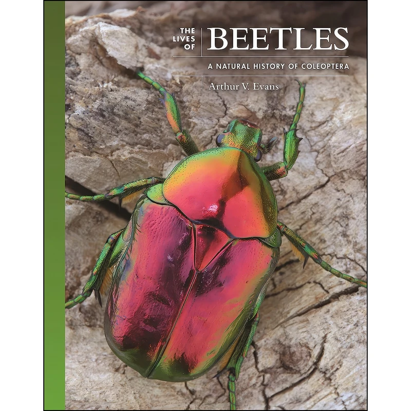 کتاب The Lives of Beetles اثر Arthur V. Evans انتشارات Princeton University Press