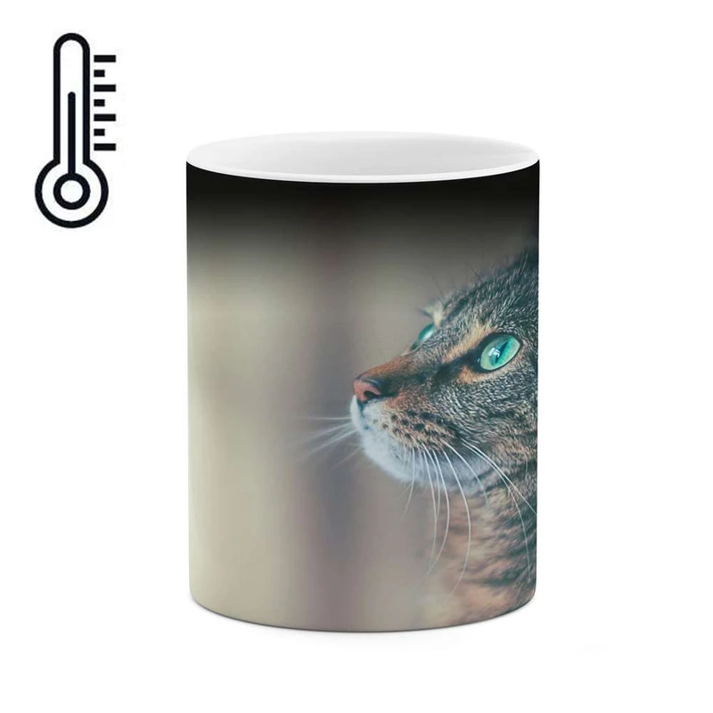 ماگ حرارتی کاکتی مدل گربه کد mgh14118