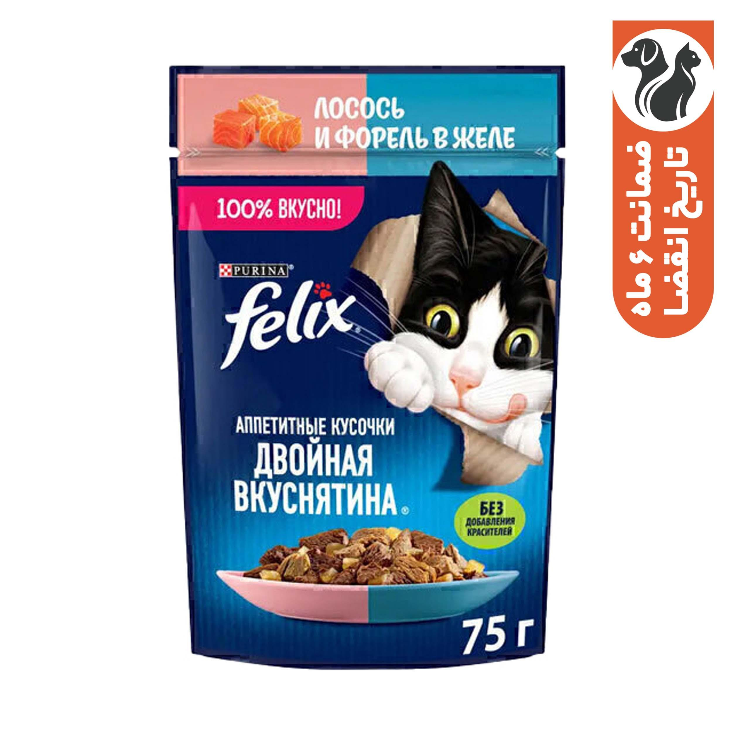 پوچ گربه بالغ فلیکس مدل Salmon & Trout In Jelly طعم سالمون و قزل‌آلا وزن ۷۵ گرم