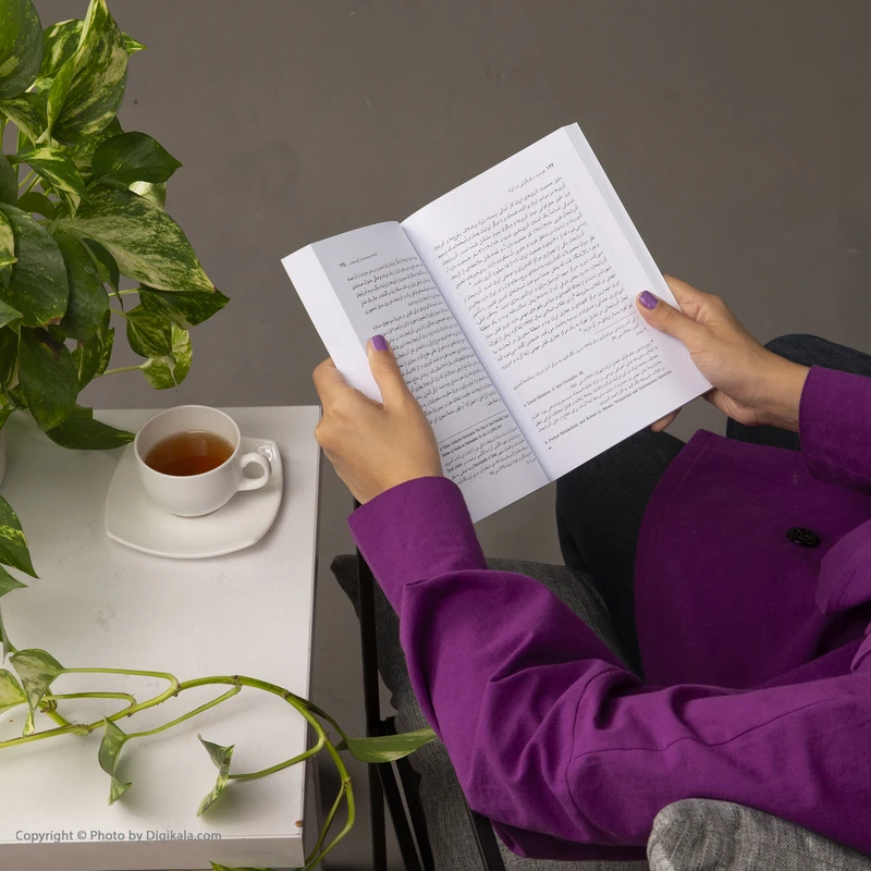 عکس شماره 8 : کتاب قومیت و قوم گرایی در ایران، افسانه و واقعیت اثر حمید احمدی نشر نی