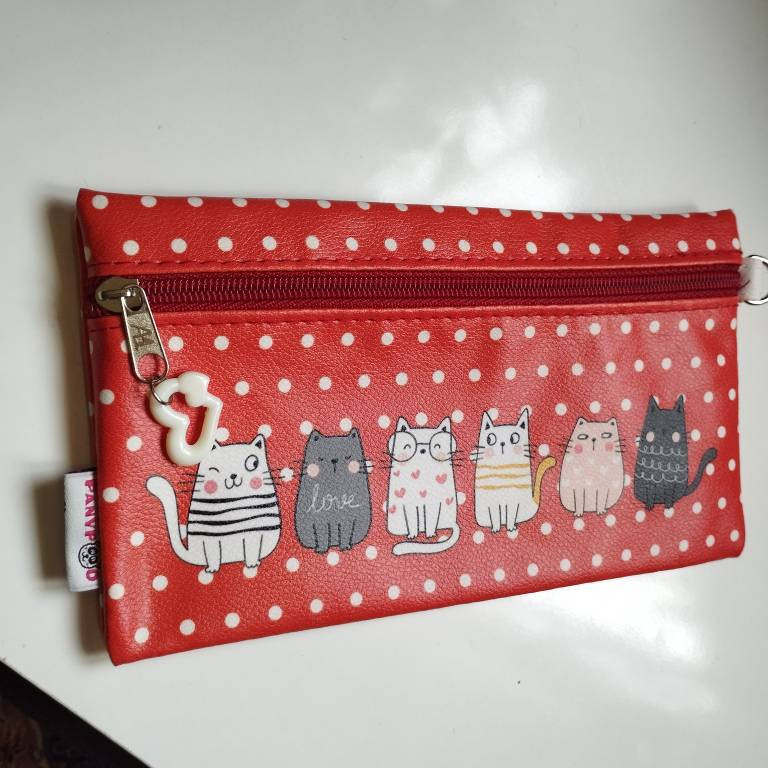 جامدادی پانی پو مدل پاکتی طرح گربه