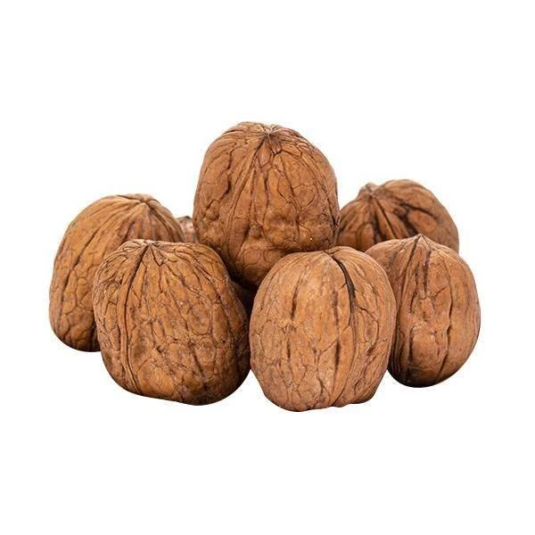 گردو با پوست درجه یک - 500 گرم