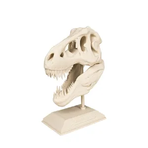 مجسمه مدل جمجمه دایناسور تیریکس T-rex