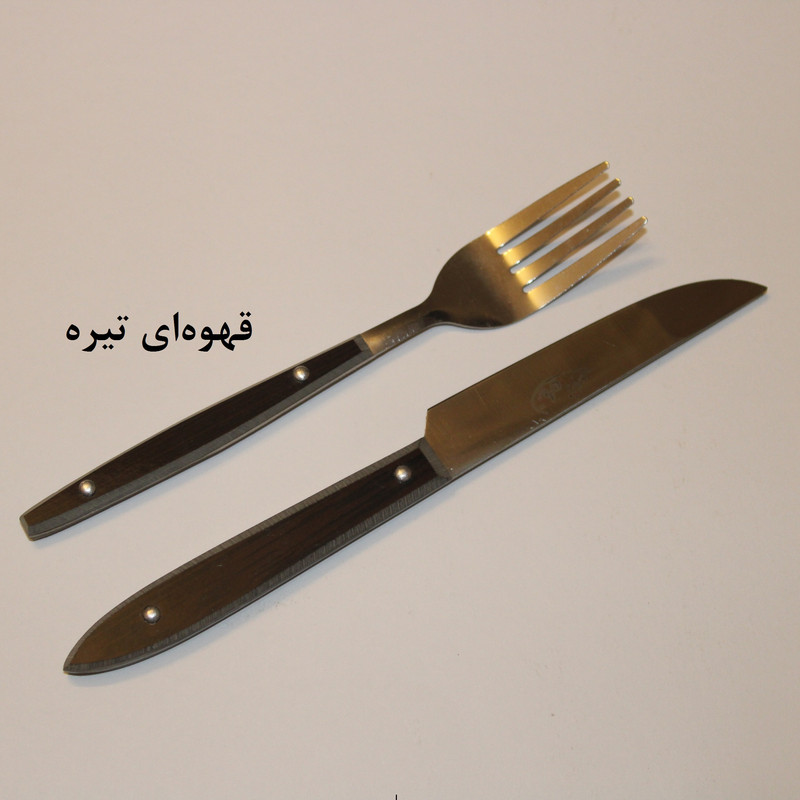 ست کارد و چنگال میوه خوری 12 پارچه تروان زنجان کد FF001