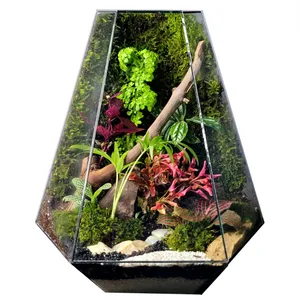 تراریوم ترارتوس مدل 04