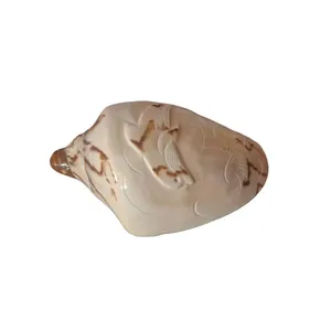 صدف تزیینی آکواریوم مدل طبیعی دلفینی کد 98