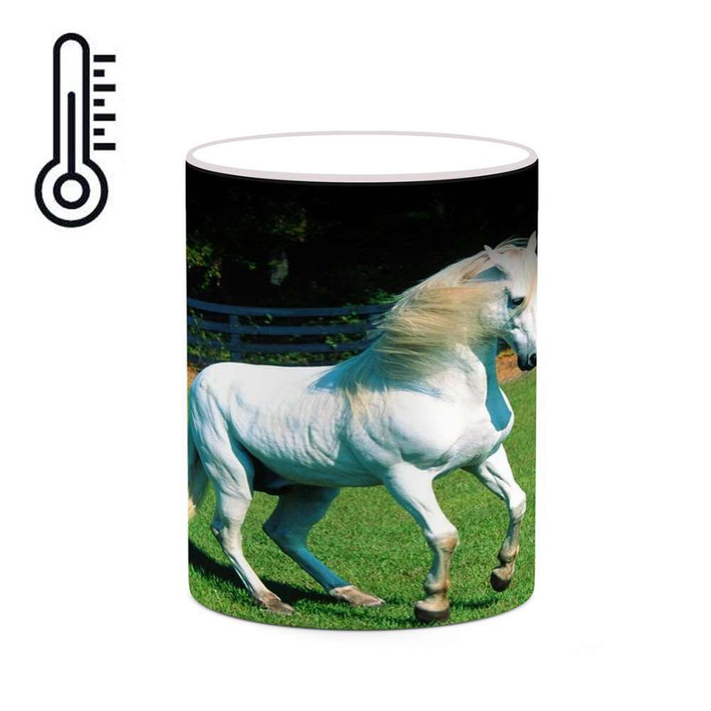 ماگ حرارتی کاکتی مدل اسب کد mgh24164