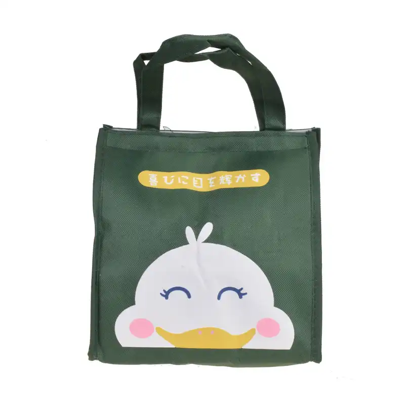 کیف غذا مدل اردک