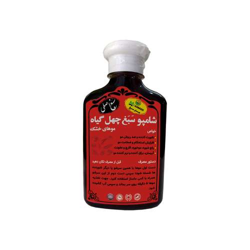 شامپو تقویت کننده و ترمیم کننده مو سبغ مدل 40 گیاه سری CH01 حجم 250 میلی لیتر