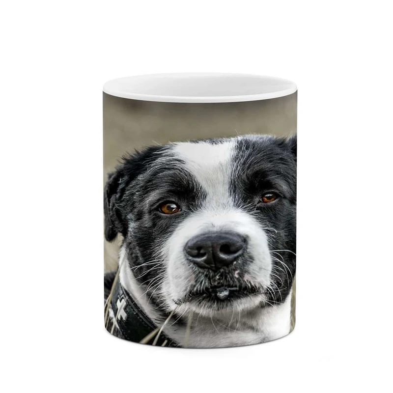 ماگ کاکتی مدل سگ کد mgh16775