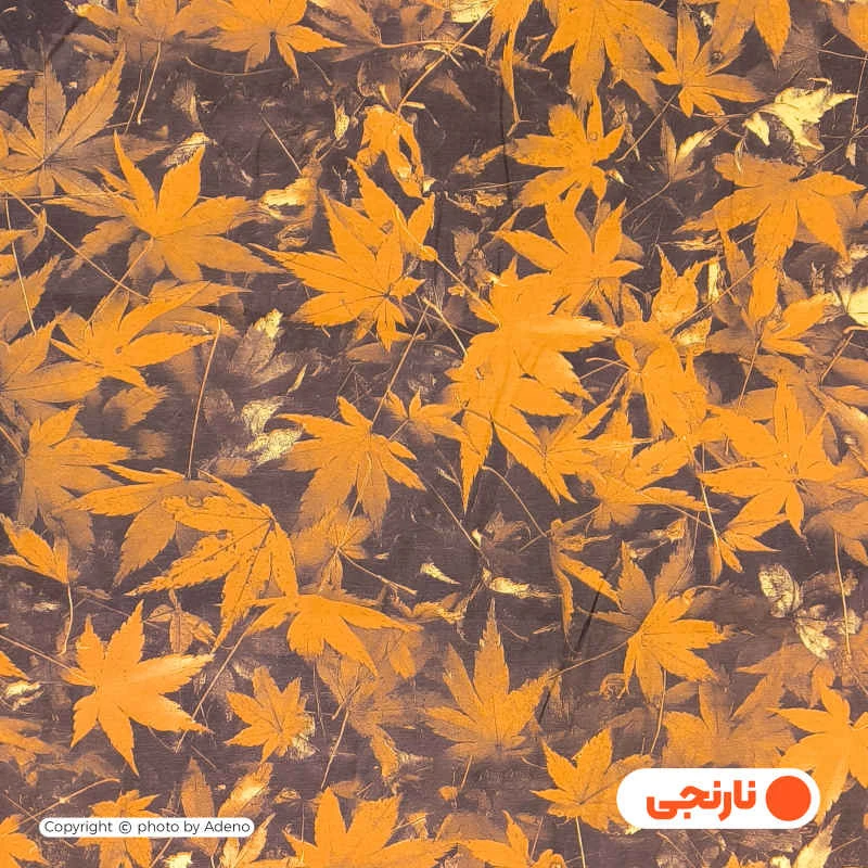 عکس شماره 3