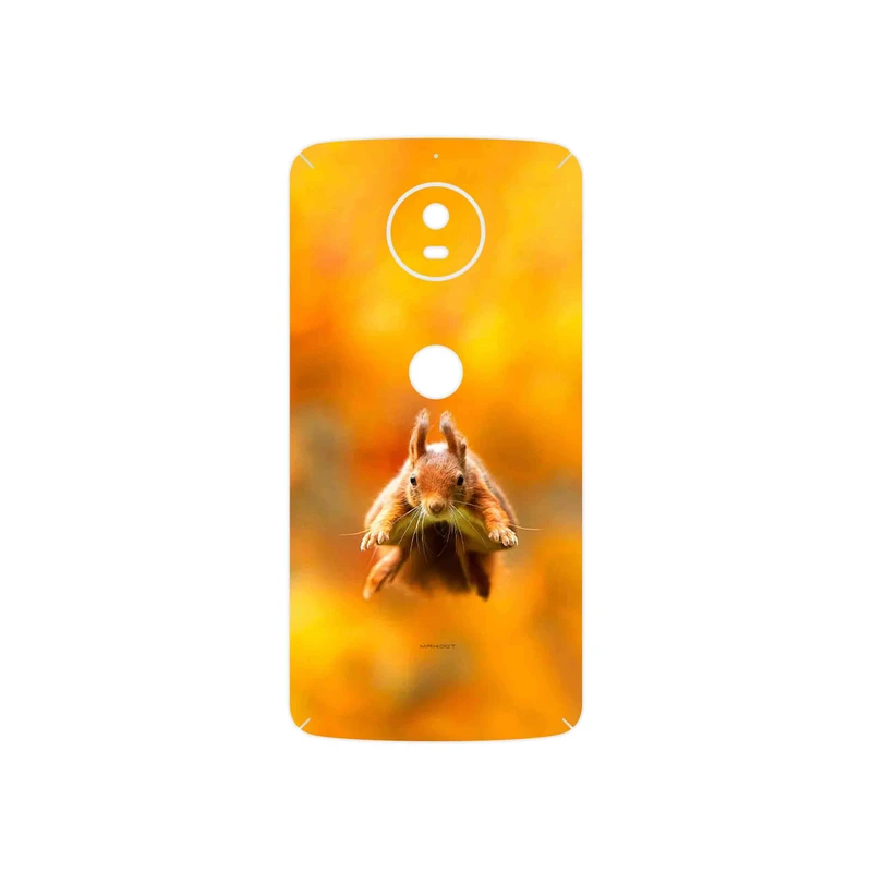 برچسب پوششی ماهوت مدل Squirrel مناسب برای گوشی موبایل موتورولا Moto G5S