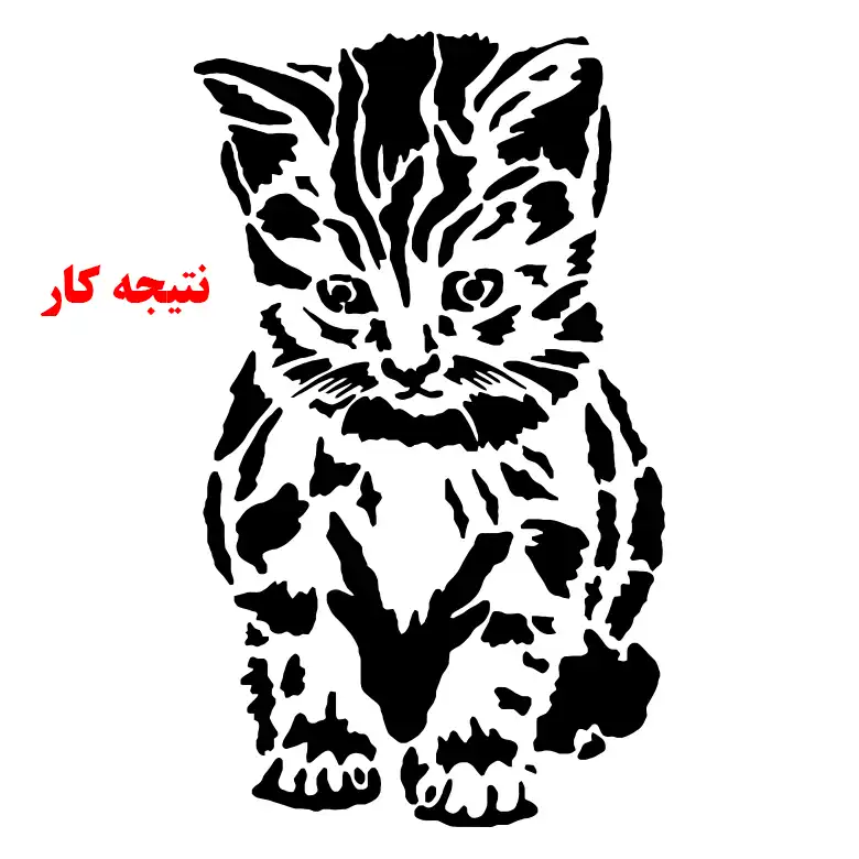 شابلون کد SP306-1