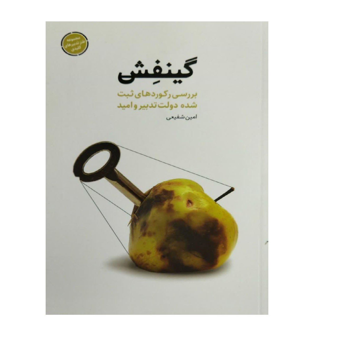 کتاب گینفش، بررسی رکوردهای ثبت شده دولت تدبیر و امید اثر امین شفیعی انتشارات شهید کاظمی