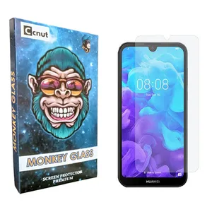 Coconut monku Screen Protector For Huawei Y5 2019