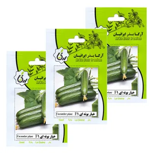 بذر خیار بوته ای F1 آرکا بذر ایرانیان کد 198-ARK مجموعه 3 عددی 