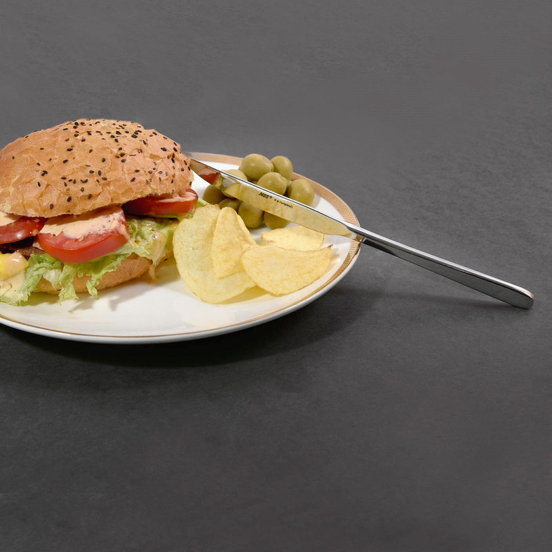 کارد غذاخوری ام جی اس مدل Donau بسته 12 عددی