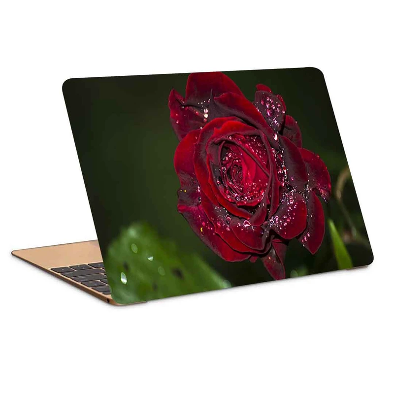استیکر لپ تاپ طرح rose red dropsکد P-942مناسب برای لپ تاپ 15.6 اینچ 