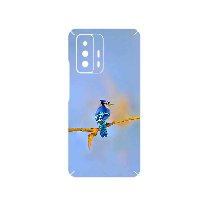 برچسب پوششی ماهوت مدل Cyanocitta cristata مناسب برای گوشی موبایل شیائومی 11T 5G